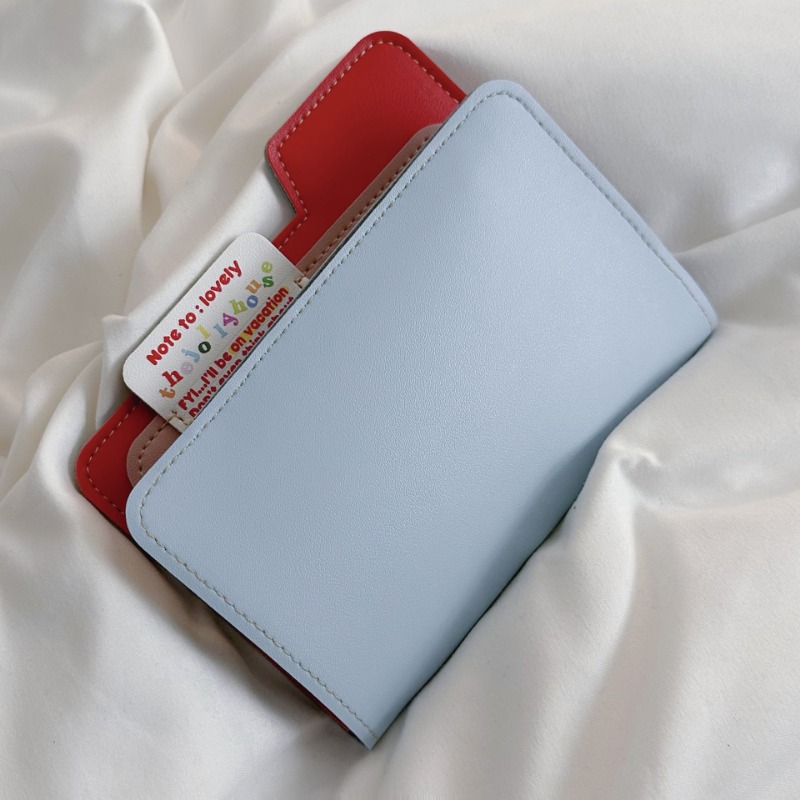 Porta passaporto Ins Color Blo - Travel Organizer Men recensione e prezzo